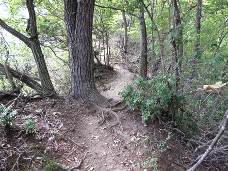 20151006hike (190)